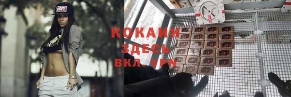 гашишное масло Дмитриев