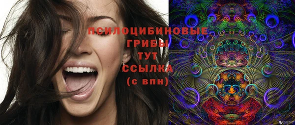 МДМА Дмитров