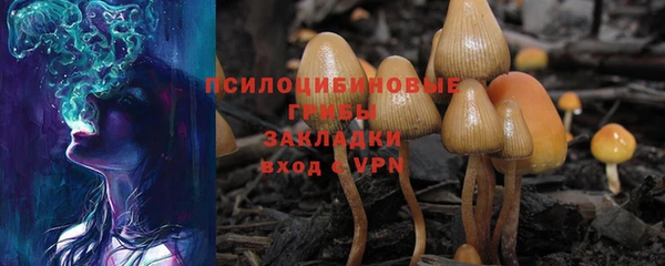 меф Дмитровск